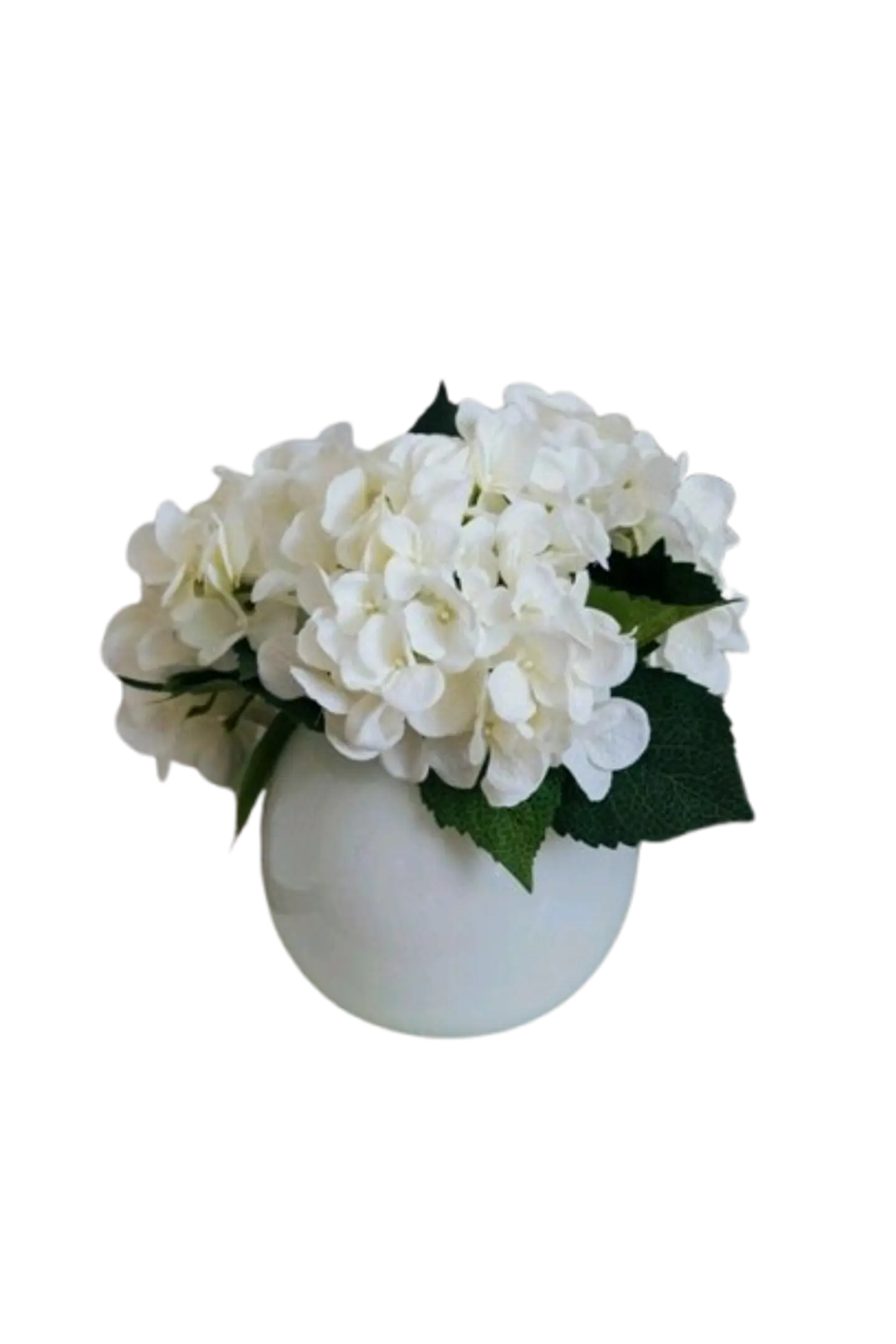Jarrón Bombonera con 4 Hortensias Blancas 1