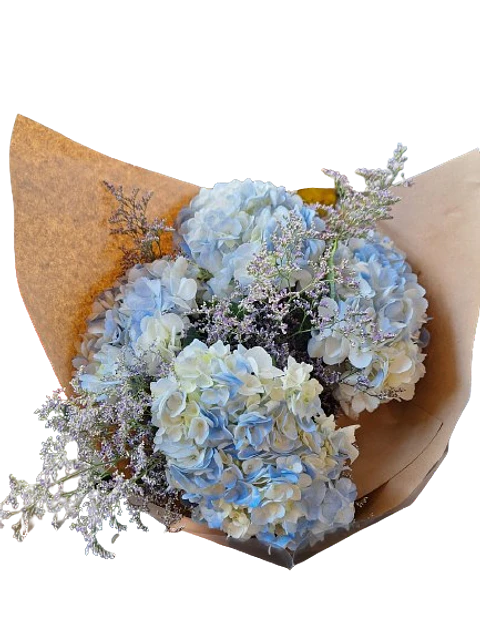 Bouquet de 4 Hortensias Azules