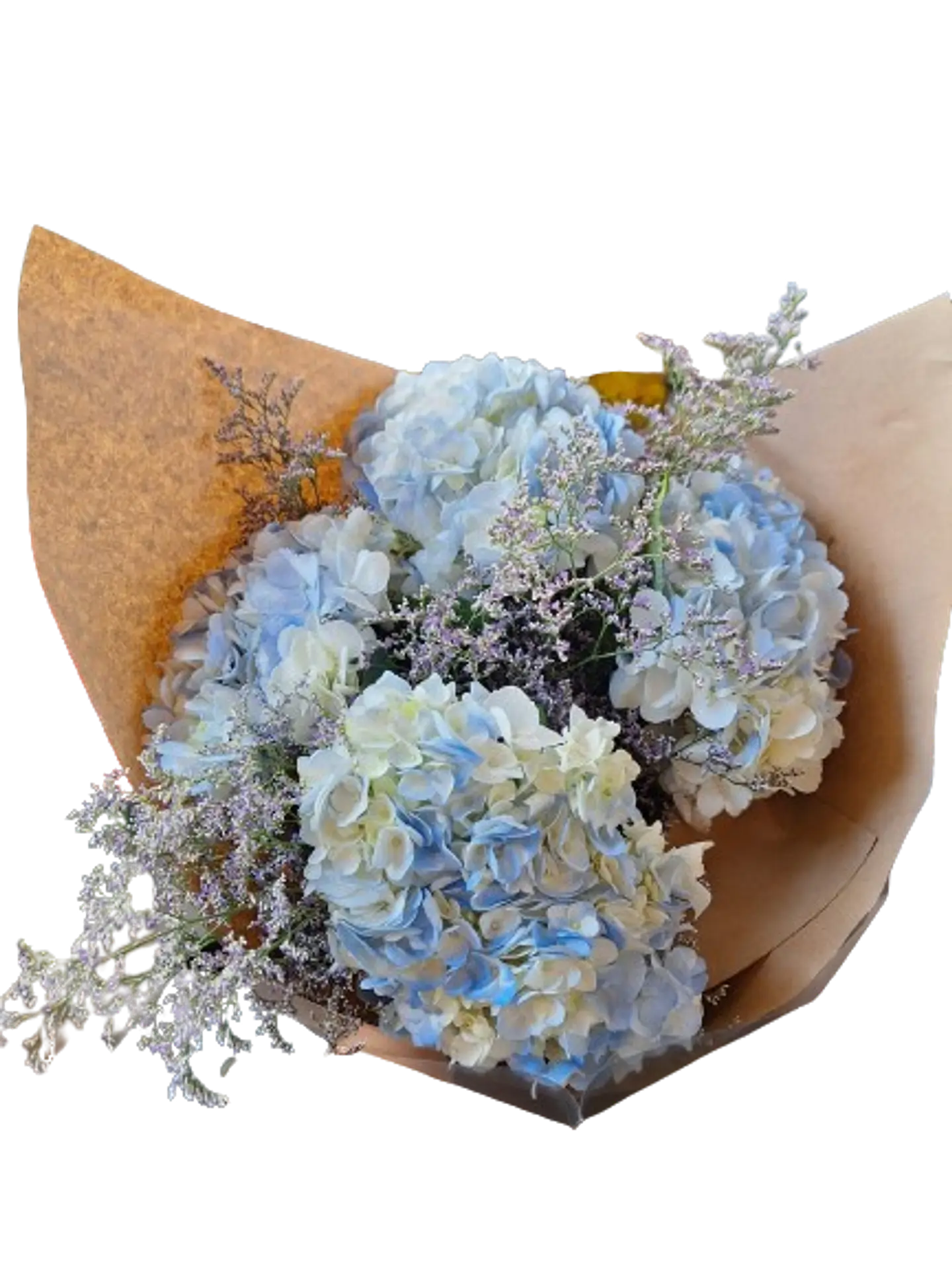 Bouquet de 4 Hortensias Azules 1