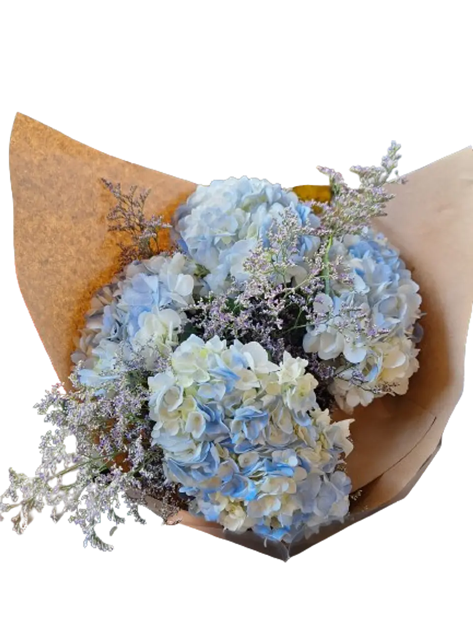 Bouquet de 4 Hortensias Azules 1