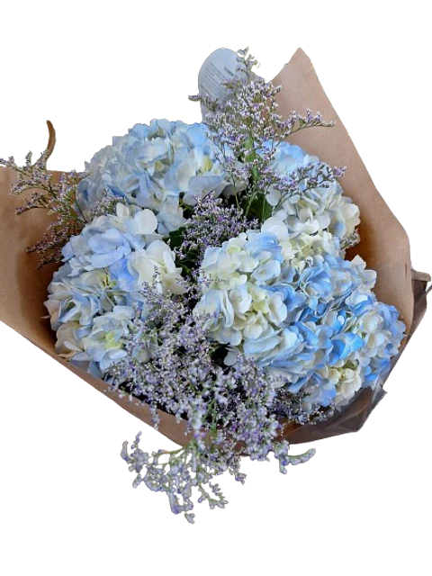 Bouquet de 4 Hortensias Azules