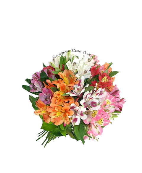 Paquete de Astromelia Surtida