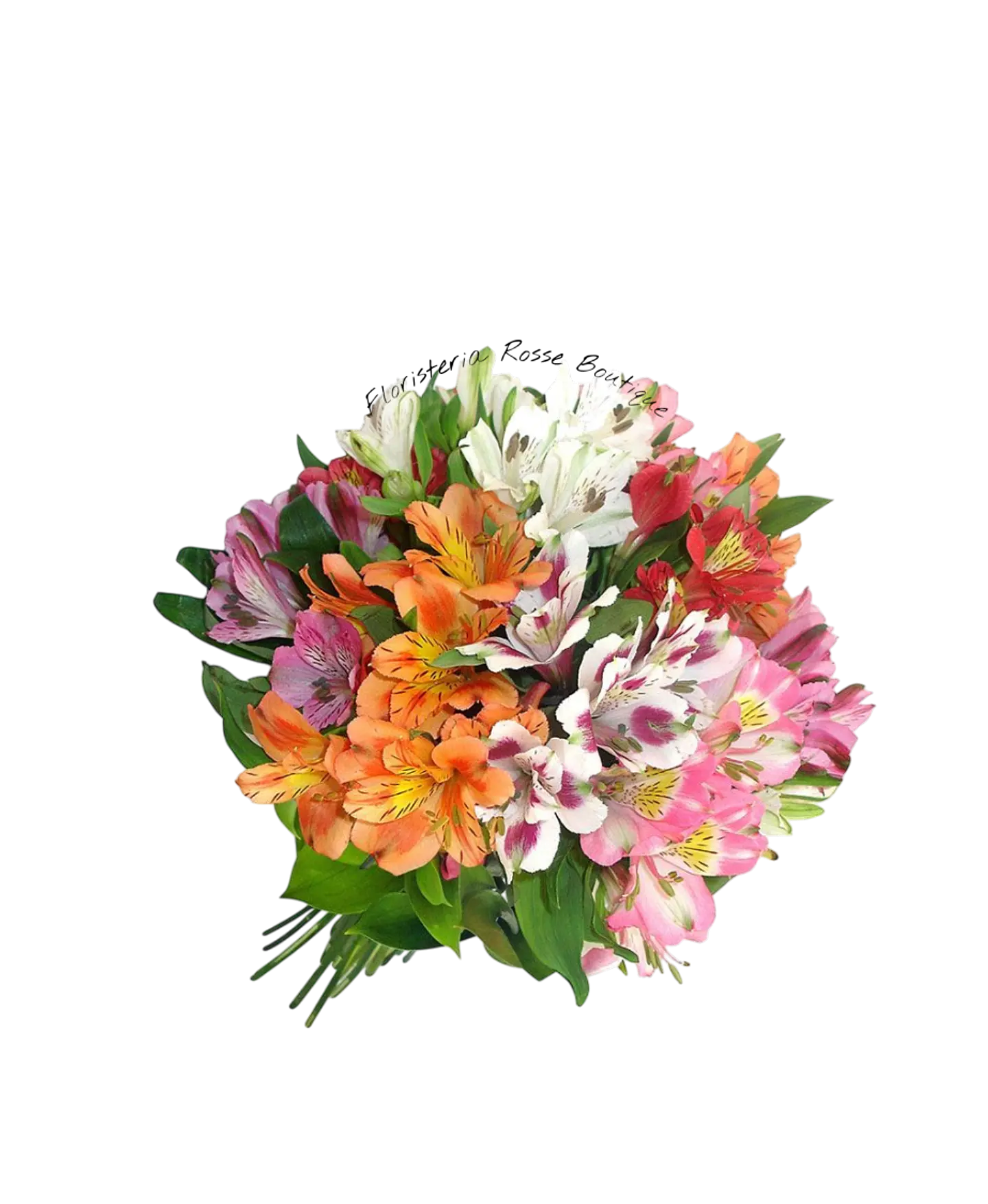 Paquete de Astromelia Surtida 1