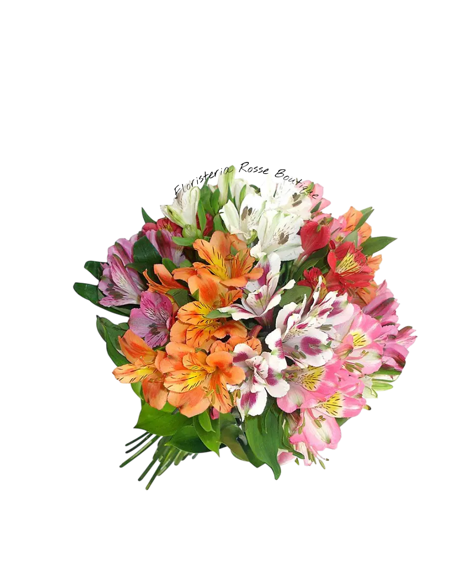 Paquete de Astromelia Surtida 1