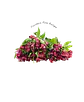 Paquete de Astromelia Roja - Miniatura 1