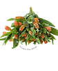 Paquete de Astromelia Naranja - Miniatura 1