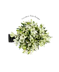 Paquete de Astromelia Blanca - Miniatura 1