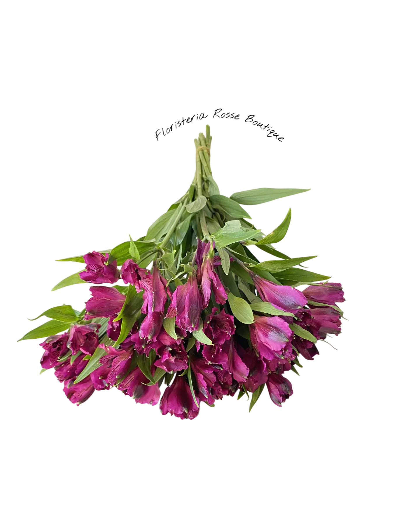Paquete de Astromelia Morada 2