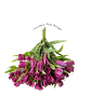 Paquete de Astromelia Morada - Miniatura 2