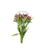 Paquete de Astromelia Morada - Miniatura 3