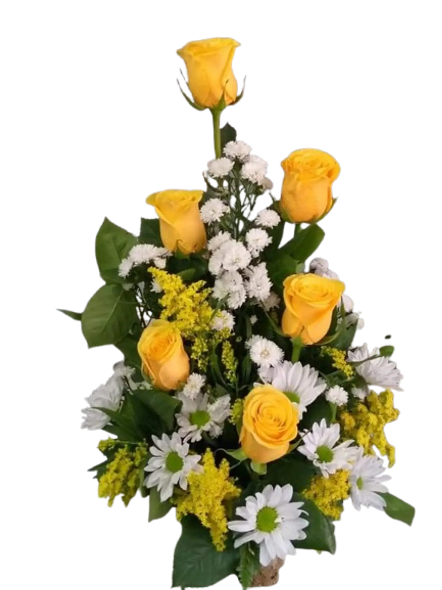 Arreglo de 6 Rosas Amarillas y Margaritas Blancas 1