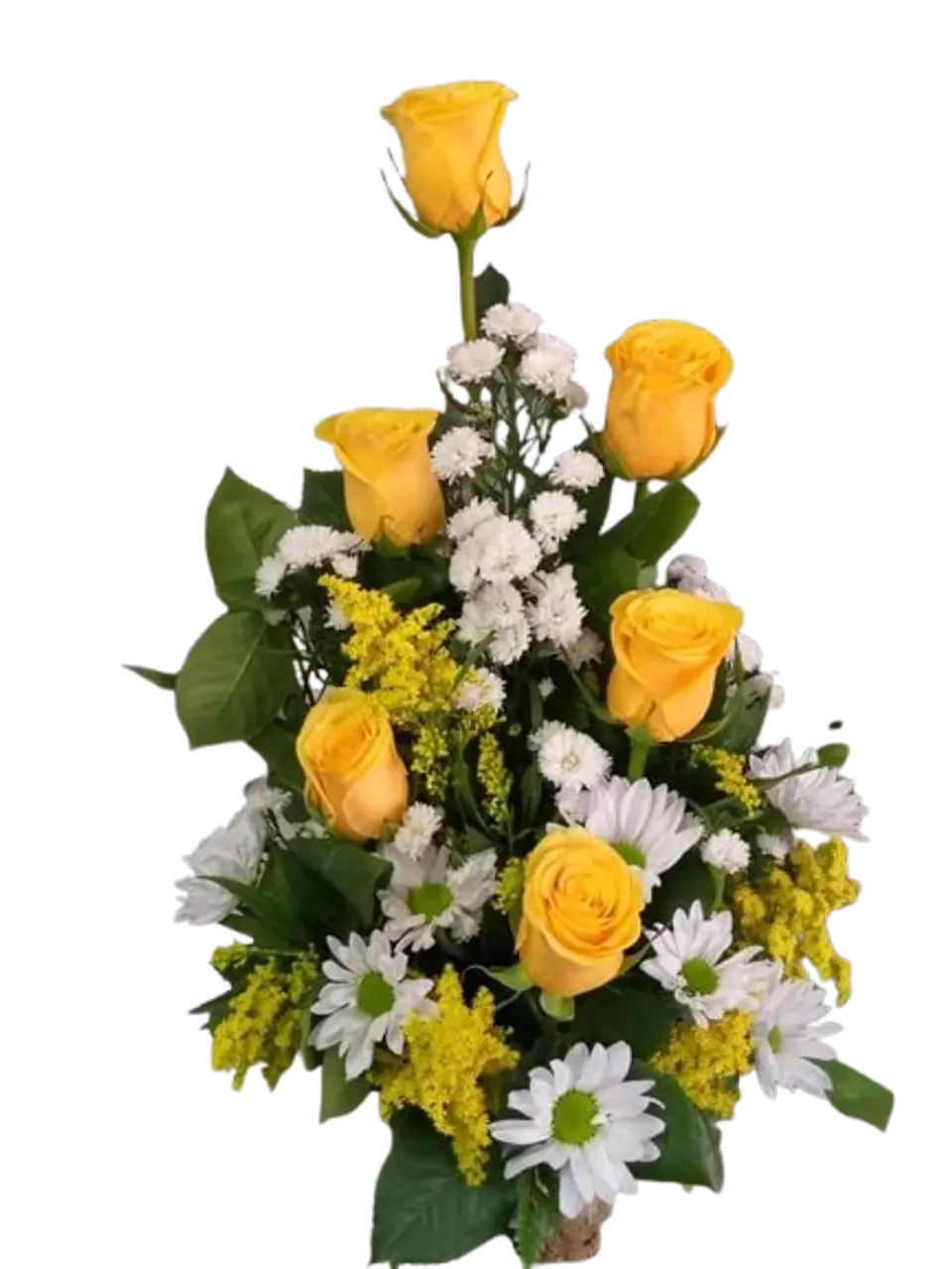 Arreglo de 6 Rosas Amarillas y Margaritas Blancas 1