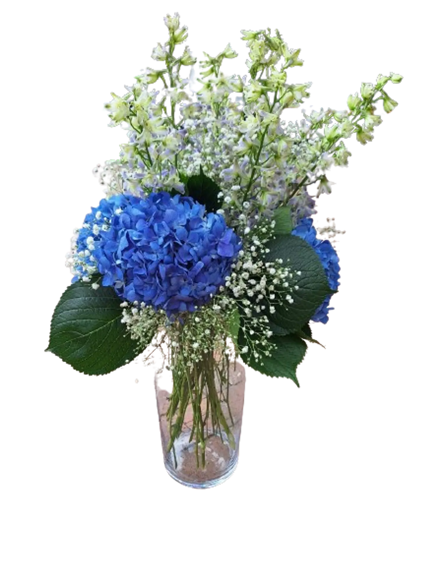 Hortensias en Flor 1