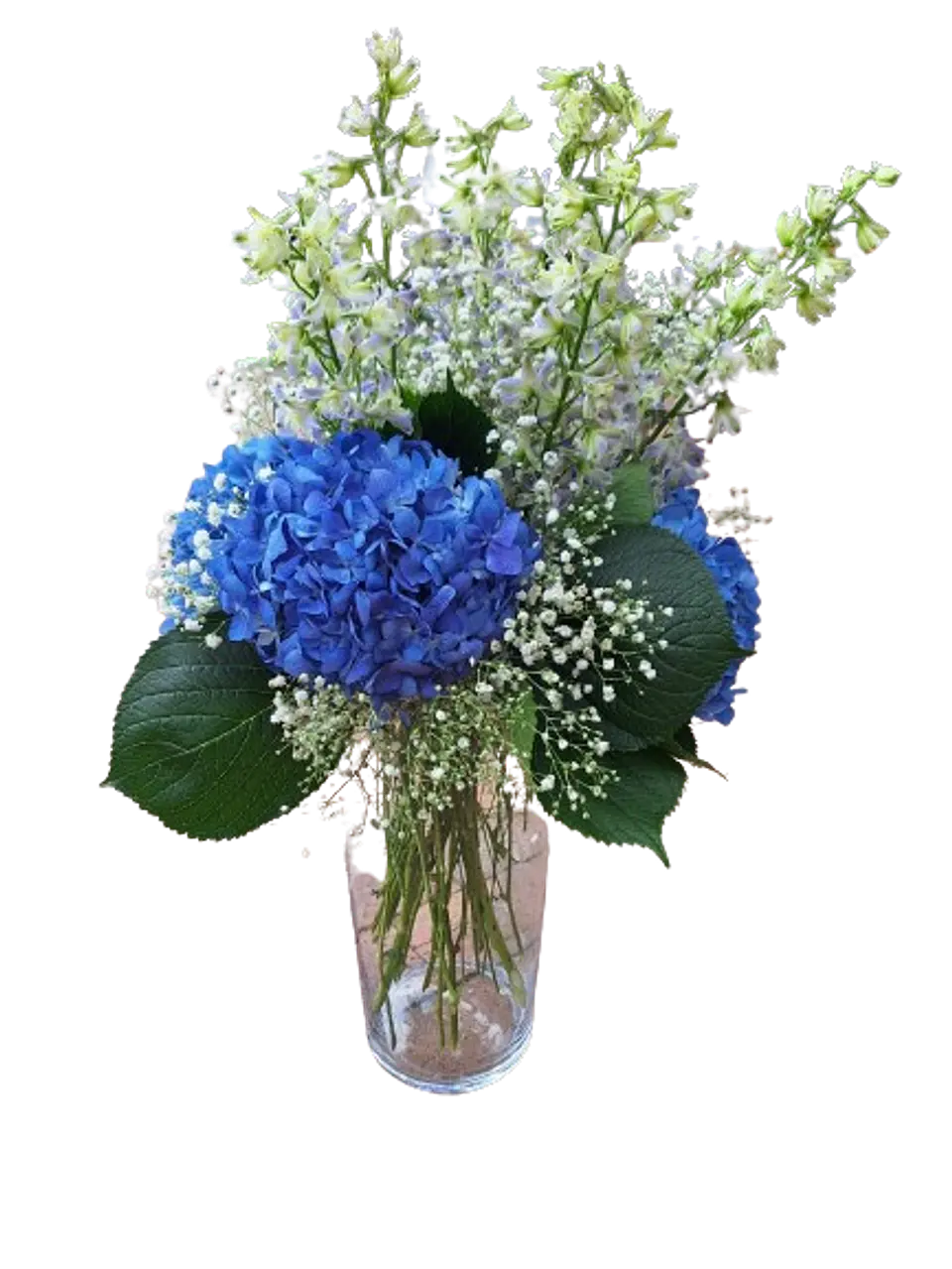 Hortensias en Flor 1