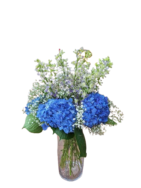 Hortensias en Flor