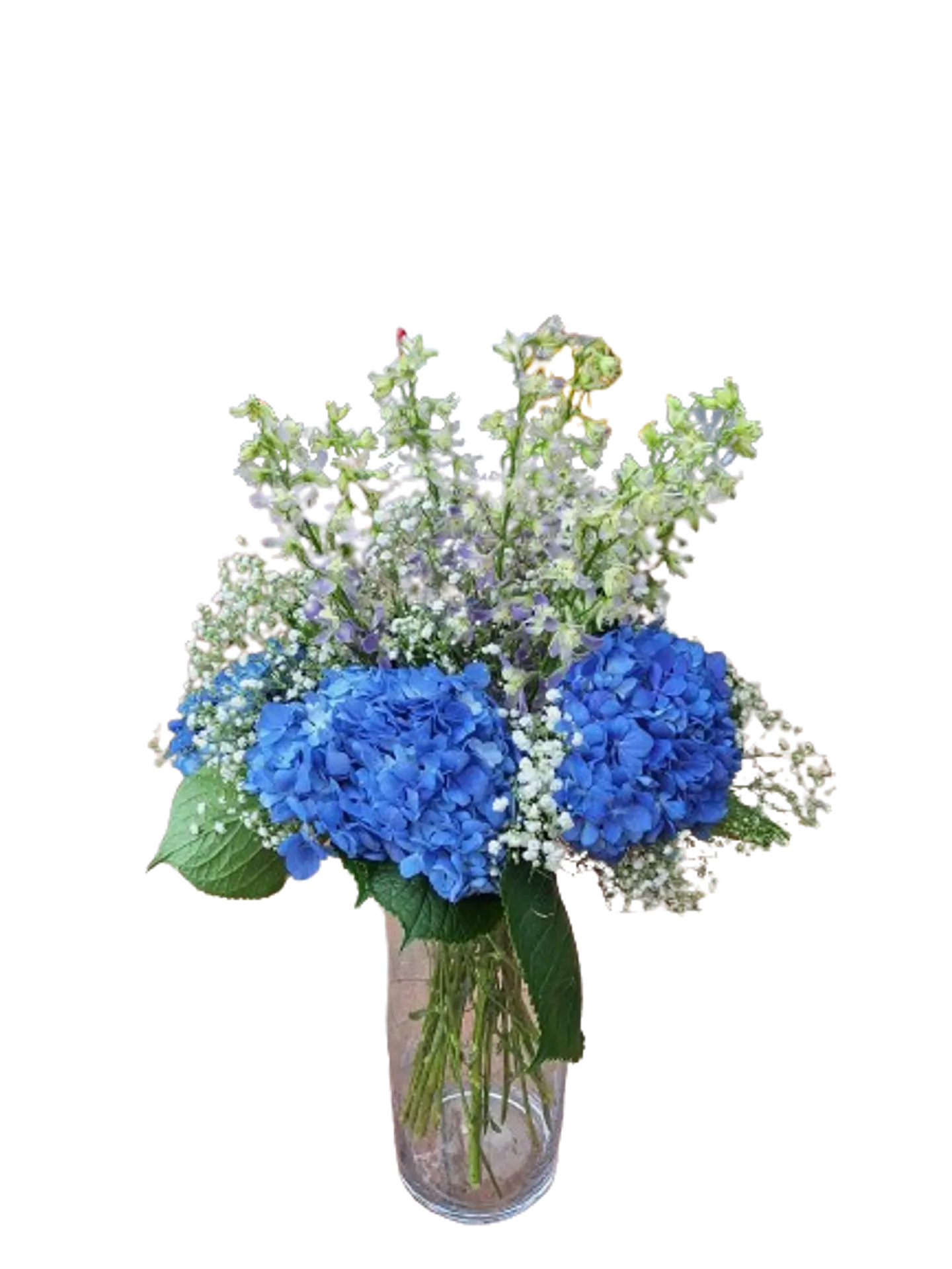 Hortensias en Flor 2