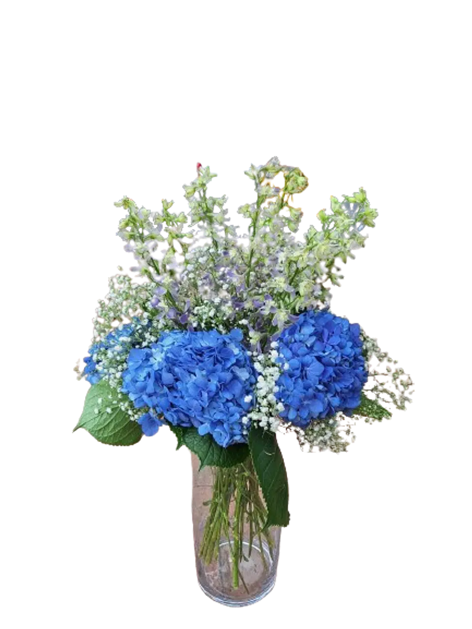 Hortensias en Flor 2