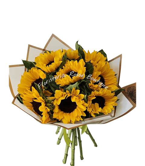 Bouquet de 10 Girasoles en Papel Coreano Blanco