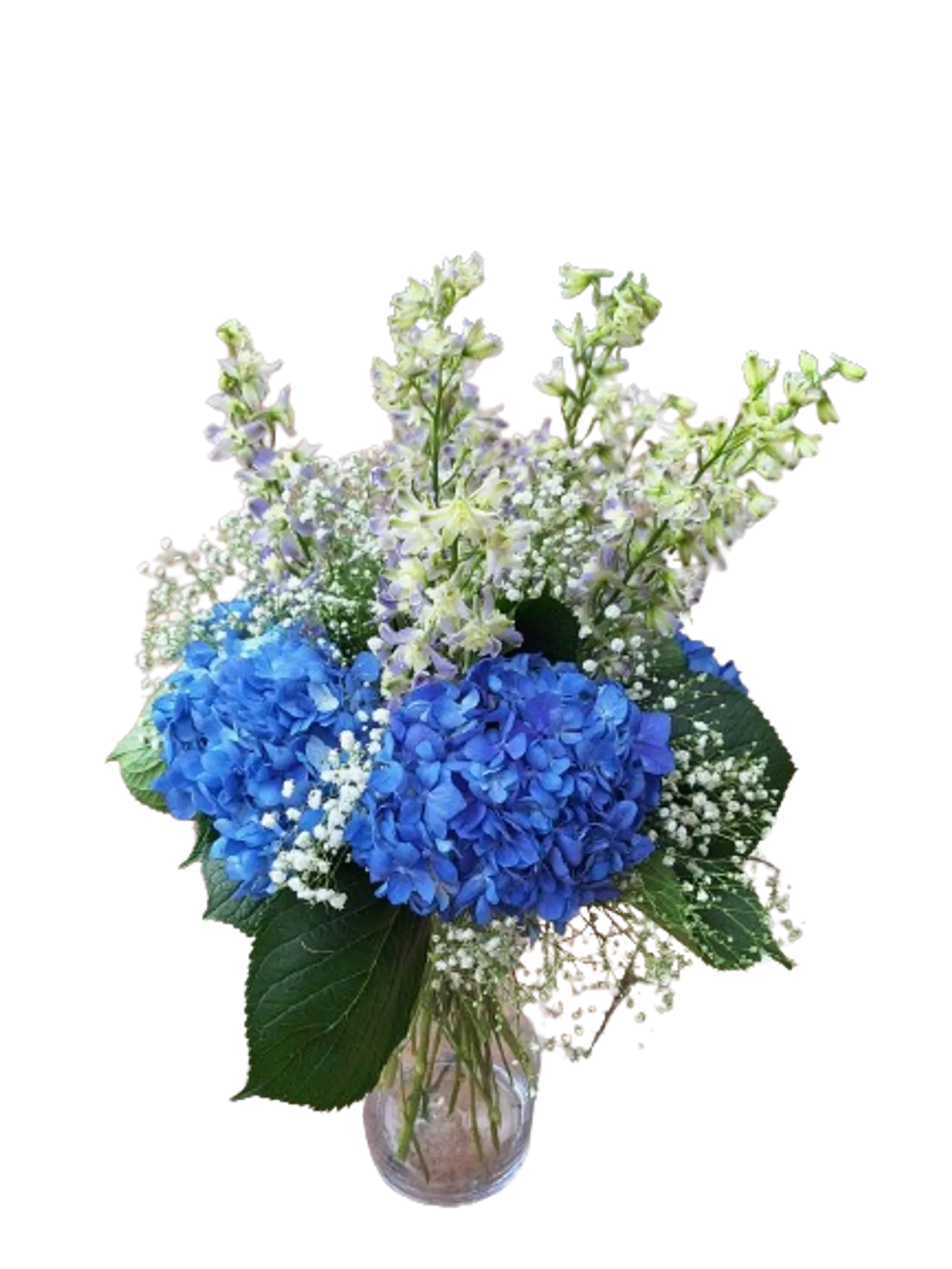 Hortensias en Flor 3