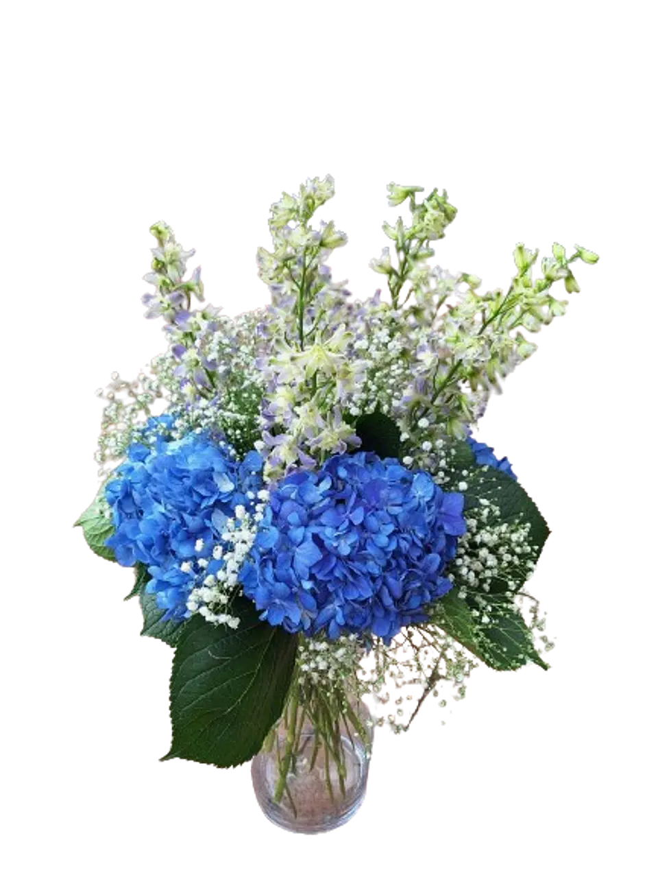 Hortensias en Flor 3
