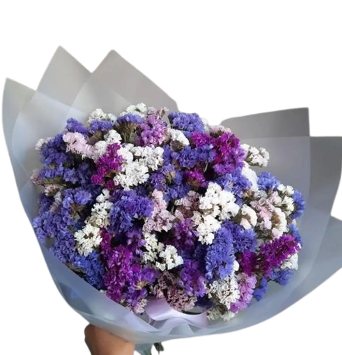 Bouquets de Statis Surtido 1