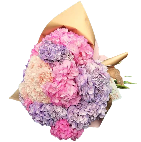 Bouquet de 10 Hortensias Surtida Colores Rosas