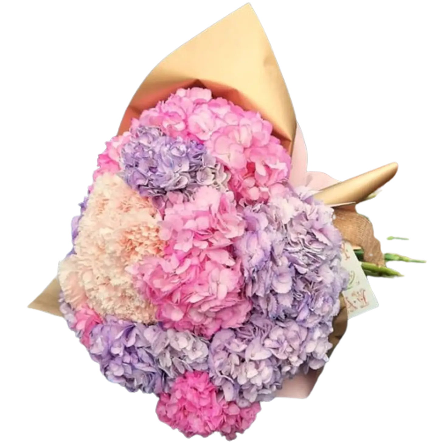 Bouquet de 10 Hortensias Surtida Colores Rosas 1