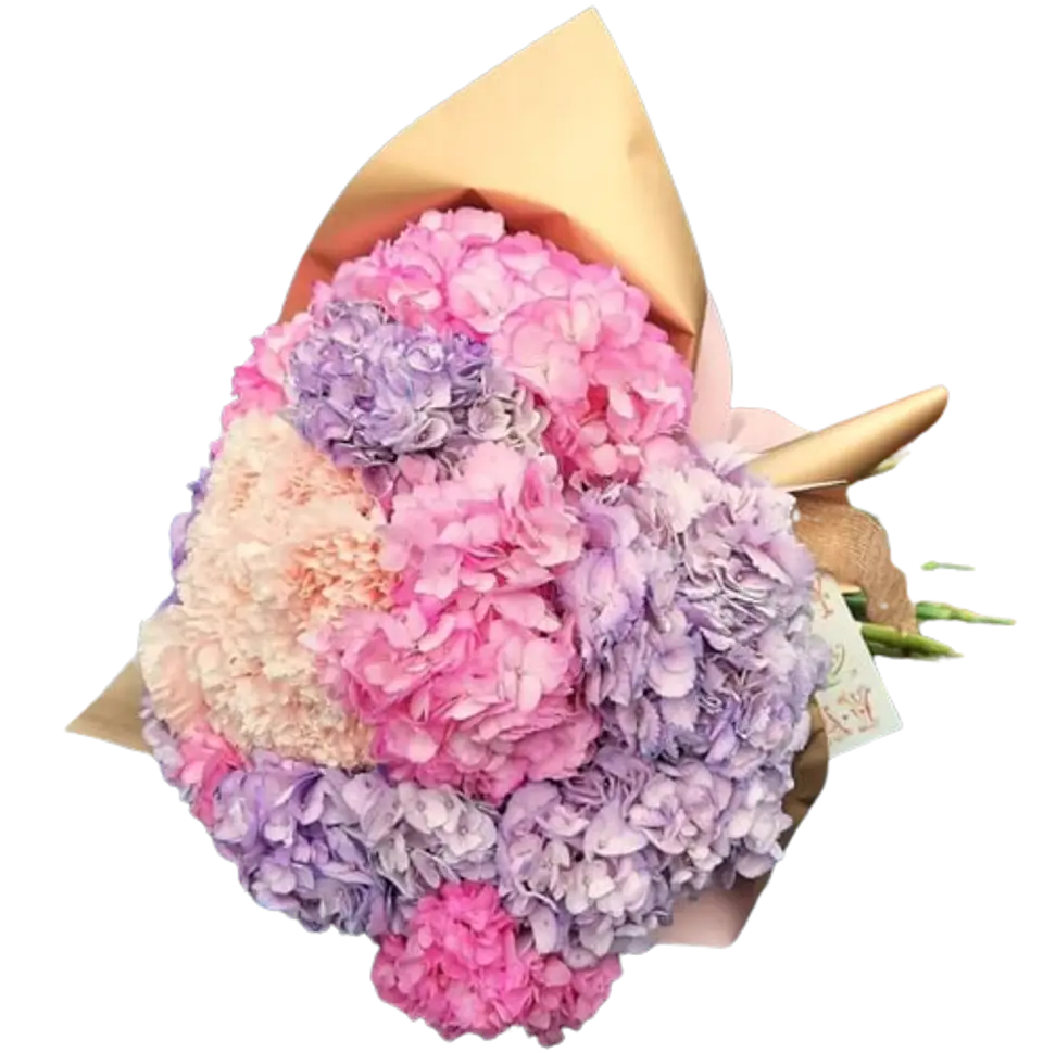 Bouquet de 10 Hortensias Surtida Colores Rosas 1