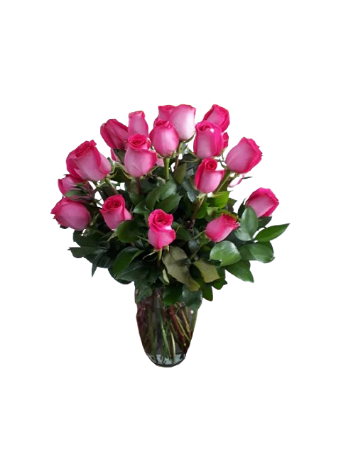 Florero de Rosas Fucsias X15