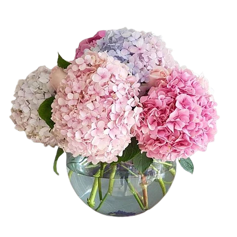 Jarrón con Hortensias de Colores Mix