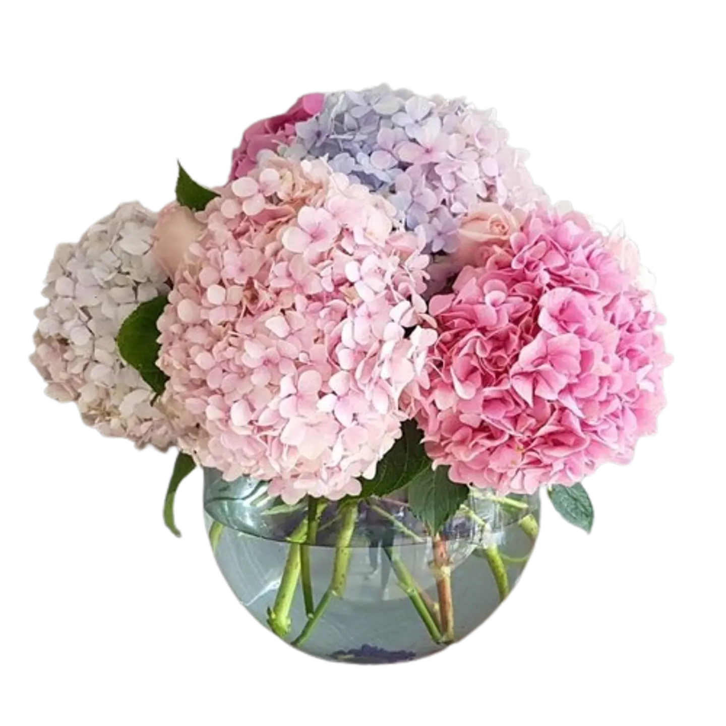 Jarrón con Hortensias de Colores Mix 1