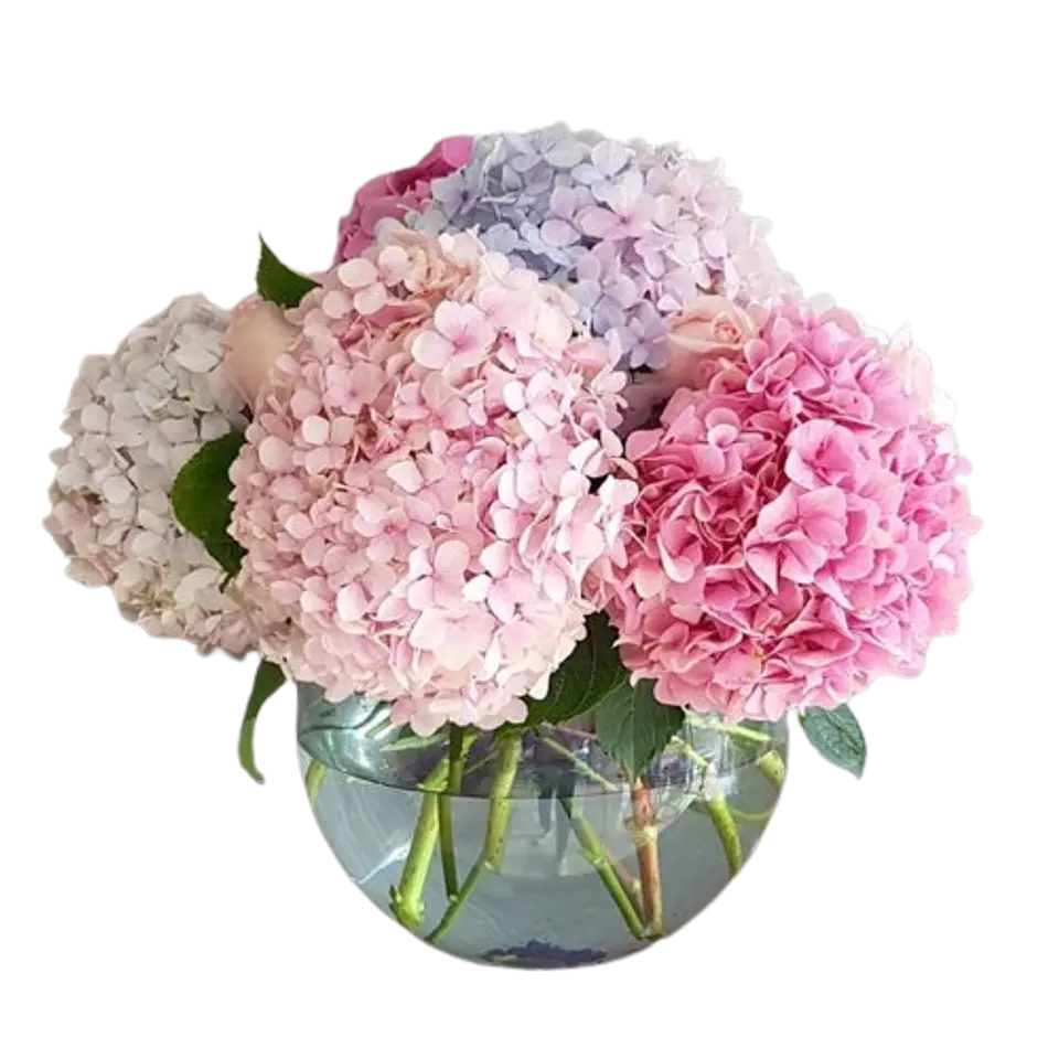 Jarrón con Hortensias de Colores Mix 1