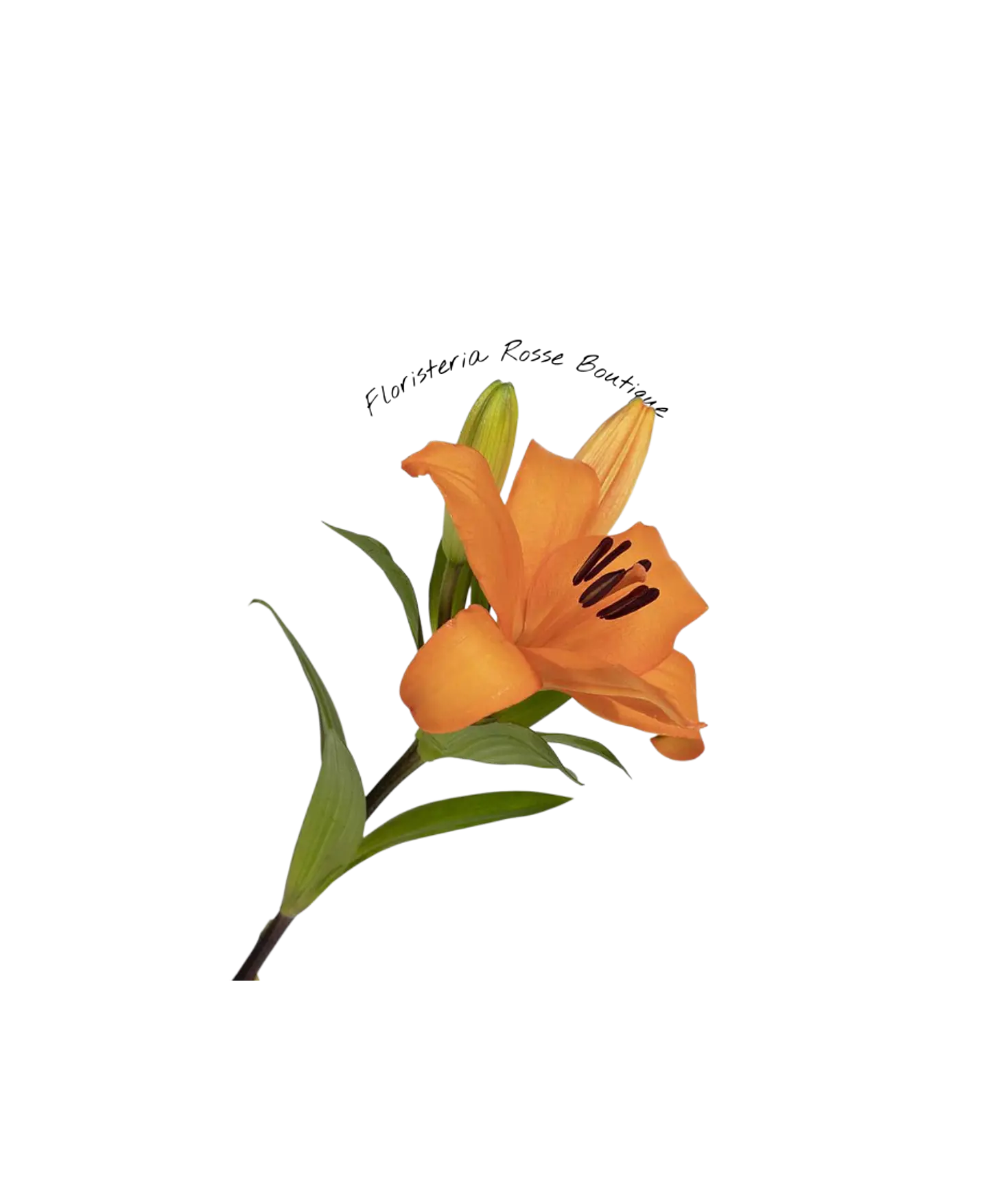 Vara de Lirio Naranja 1