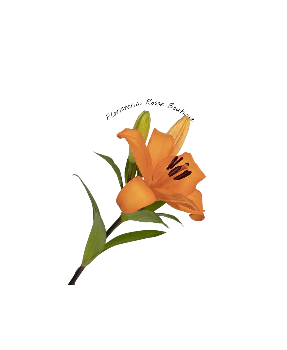 Vara de Lirio Naranja 1