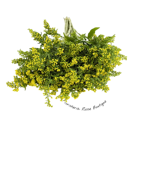 Paquete de Soliago