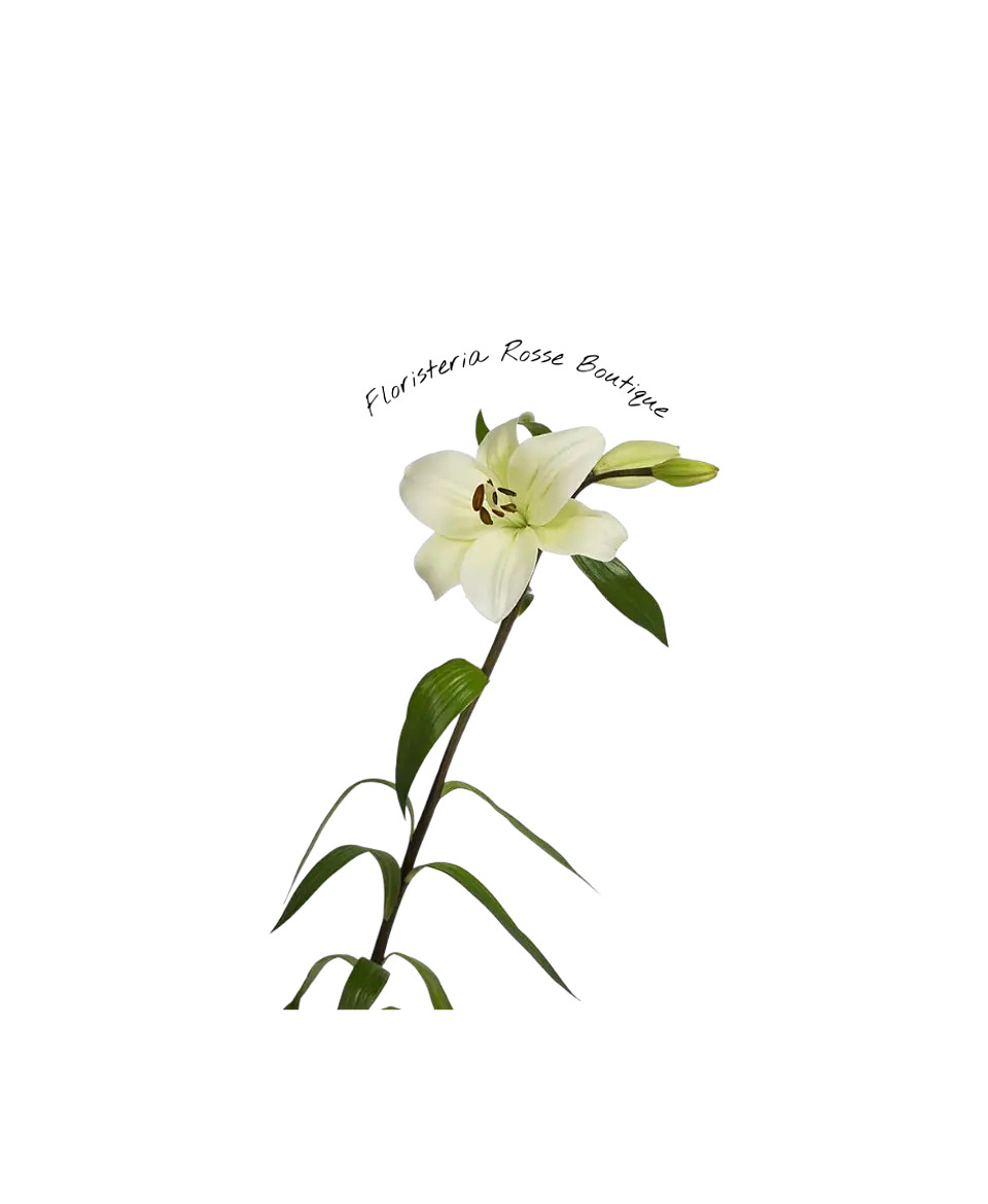Vara de Lirio Blanco 1