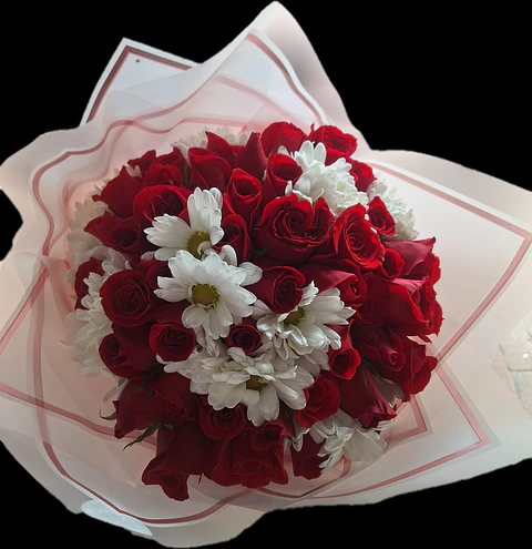 Bouquet de 50 Rosas Rojas con Margarita