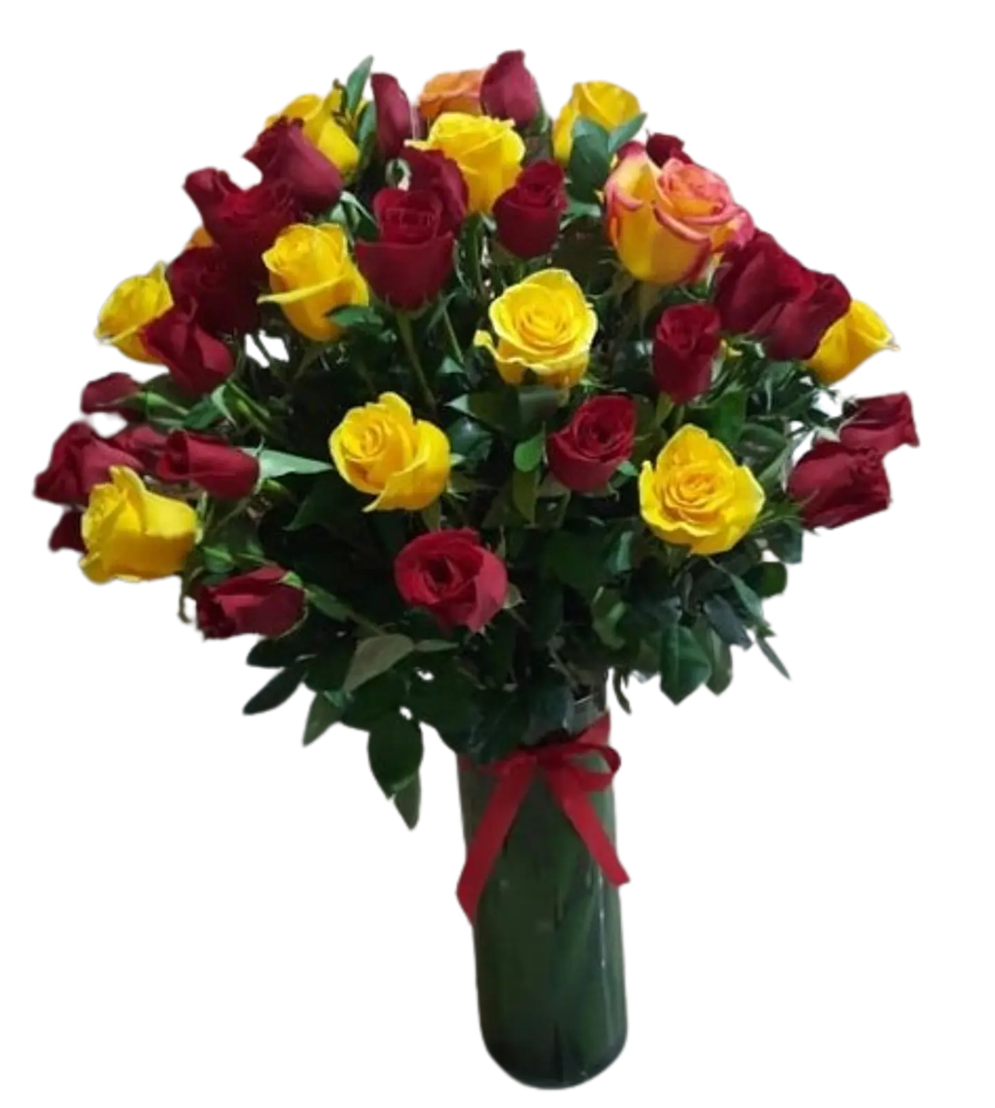 Rosas Encantadas 1