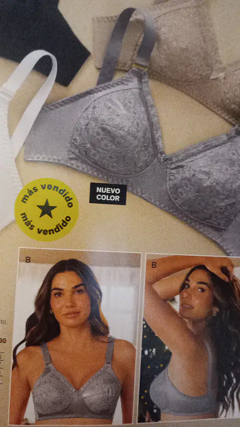 Brasier Básico 