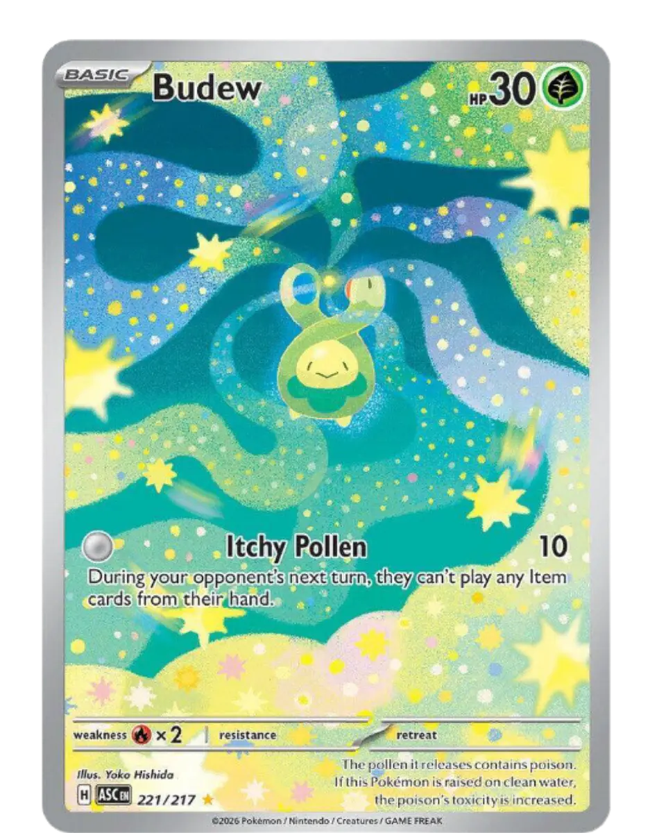 Budew - 221/217 1