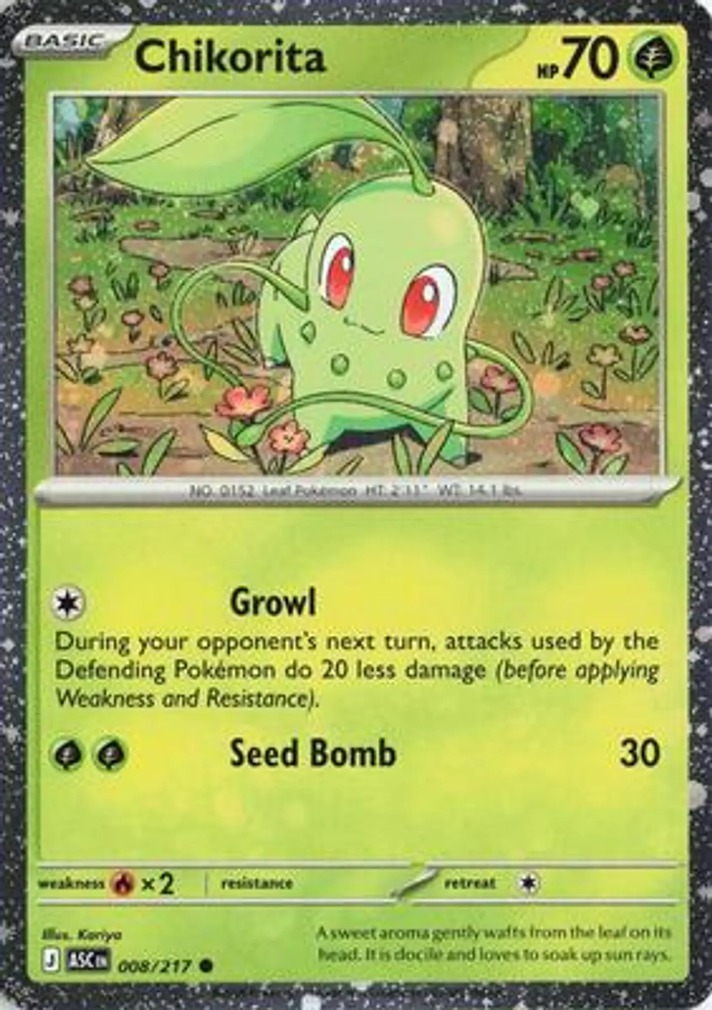 Chikorita  1