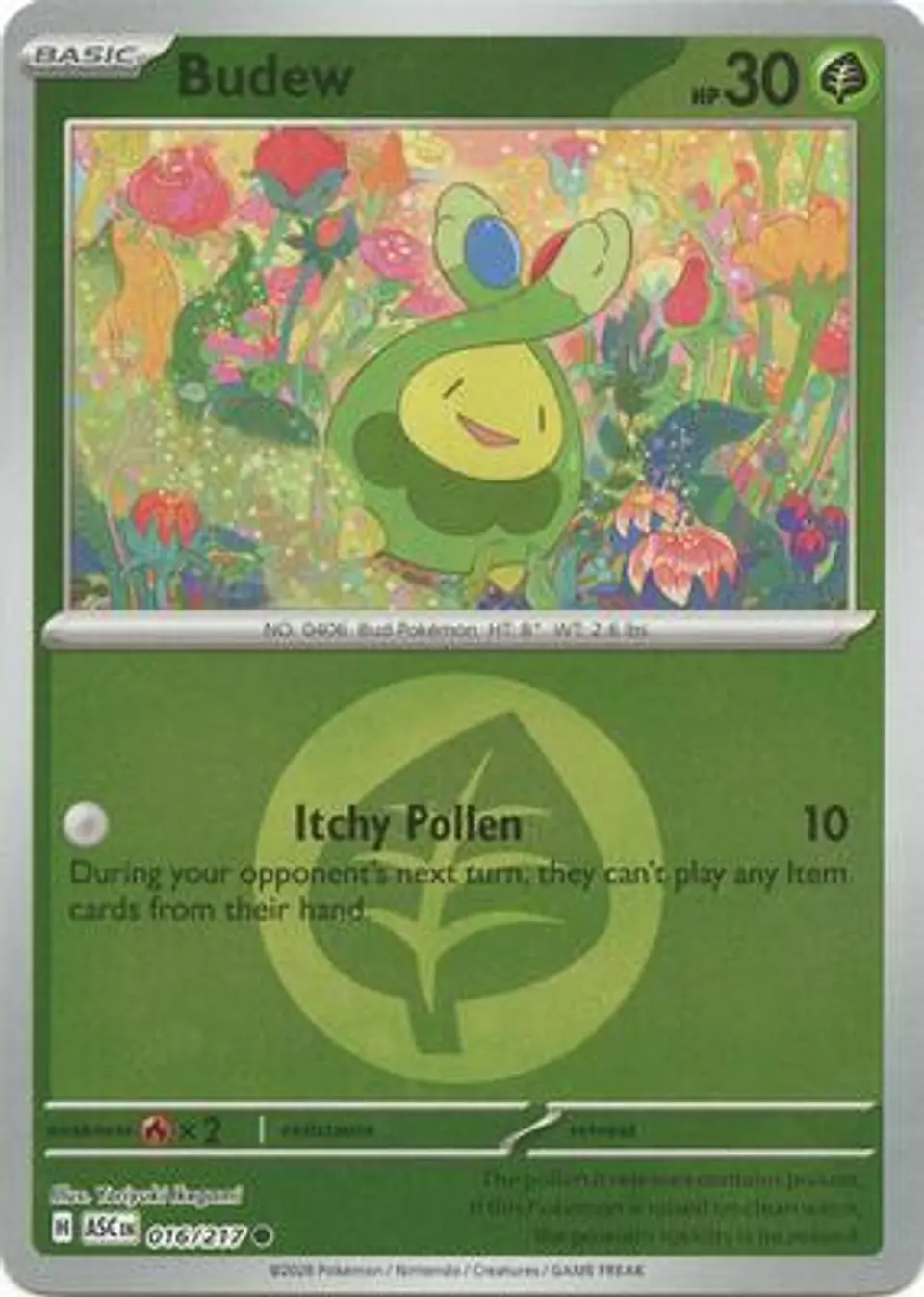 Budew 1