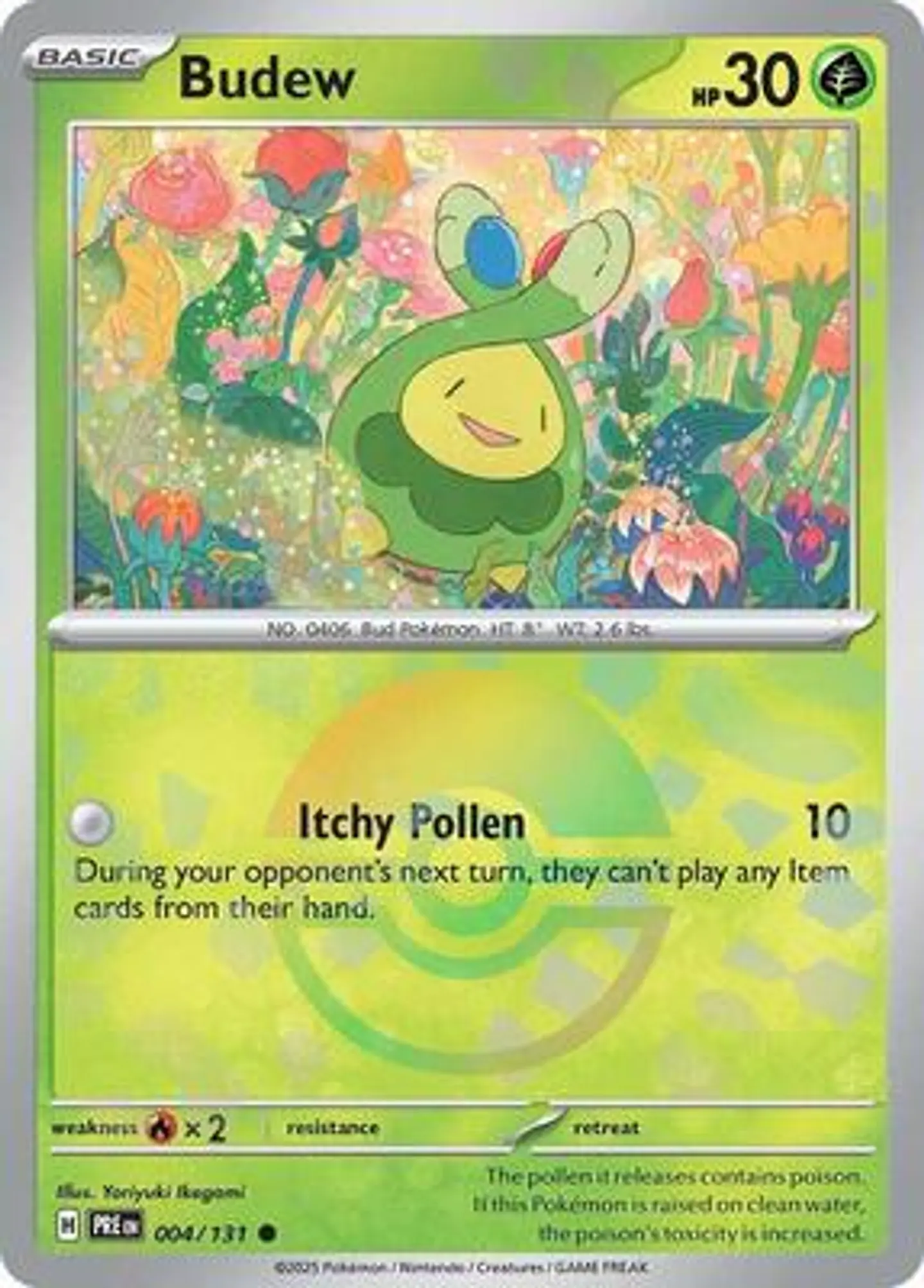 Budew 2