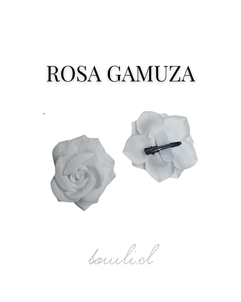 ROSA GAMUZA | PINCHE