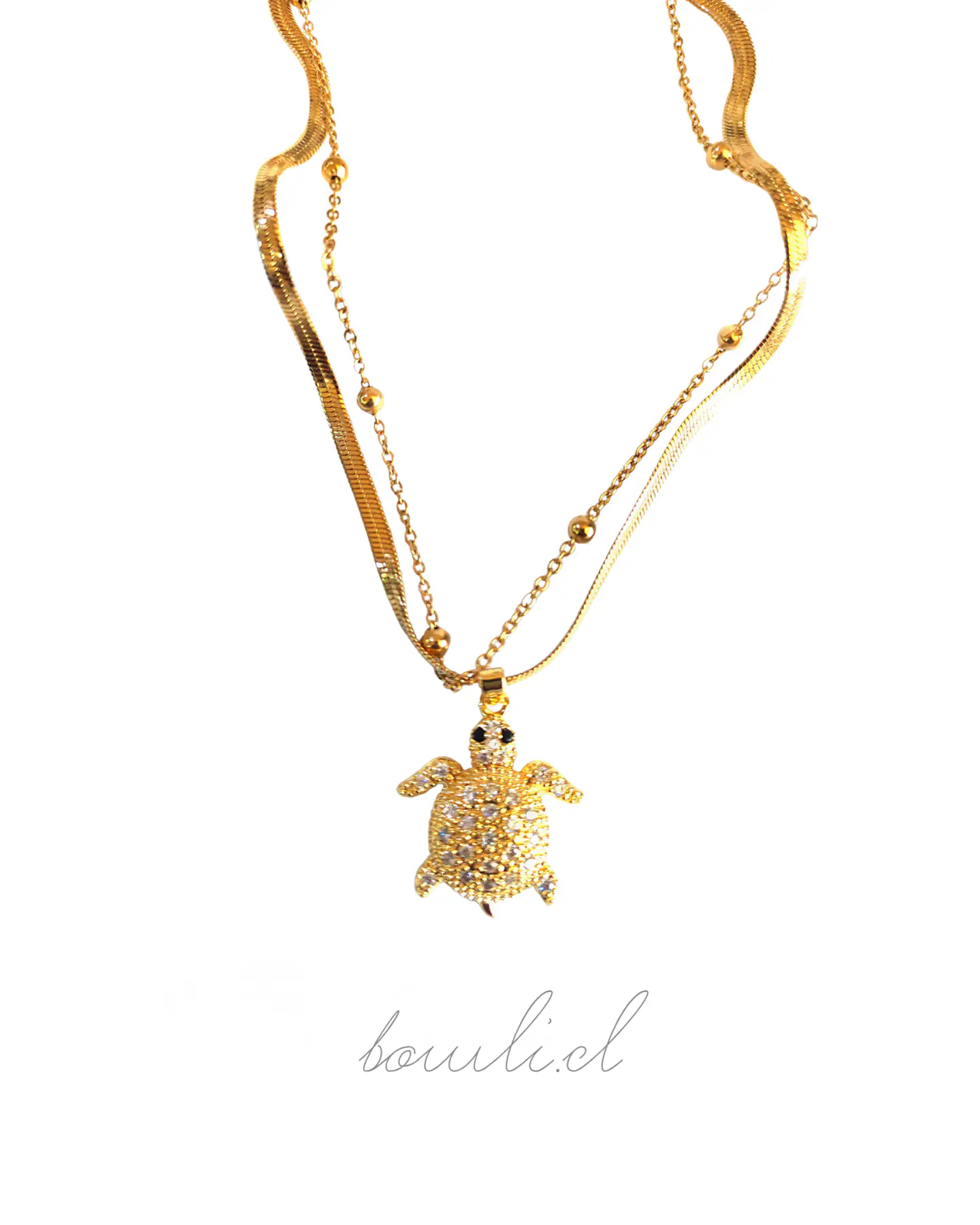 Collar Tortuga 1
