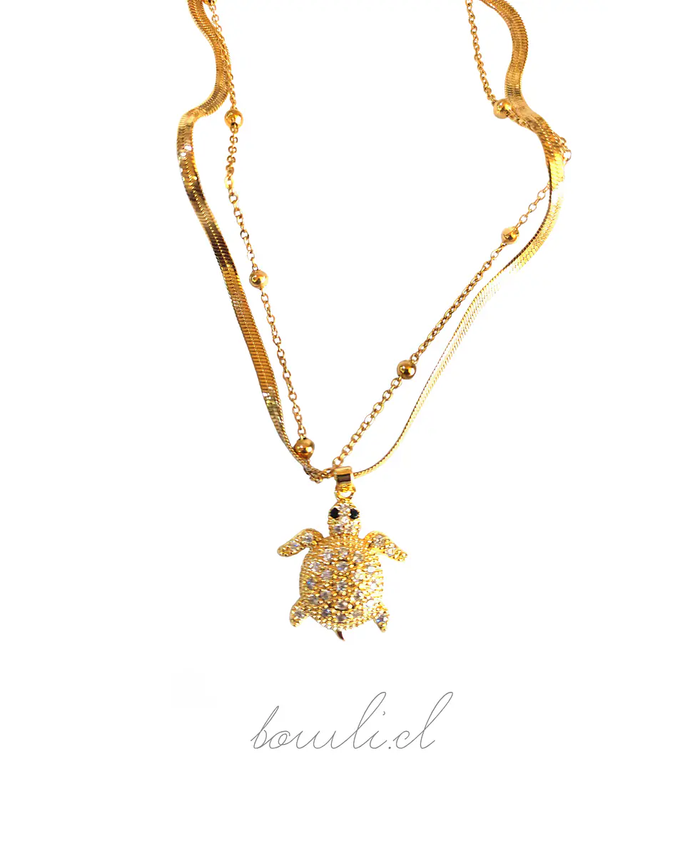 Collar Tortuga 1