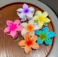 FLOR HAWAIANA | TIBURÓN - Miniatura 2