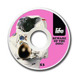 Ruedas Life Dog Pink Conicas 53mm 