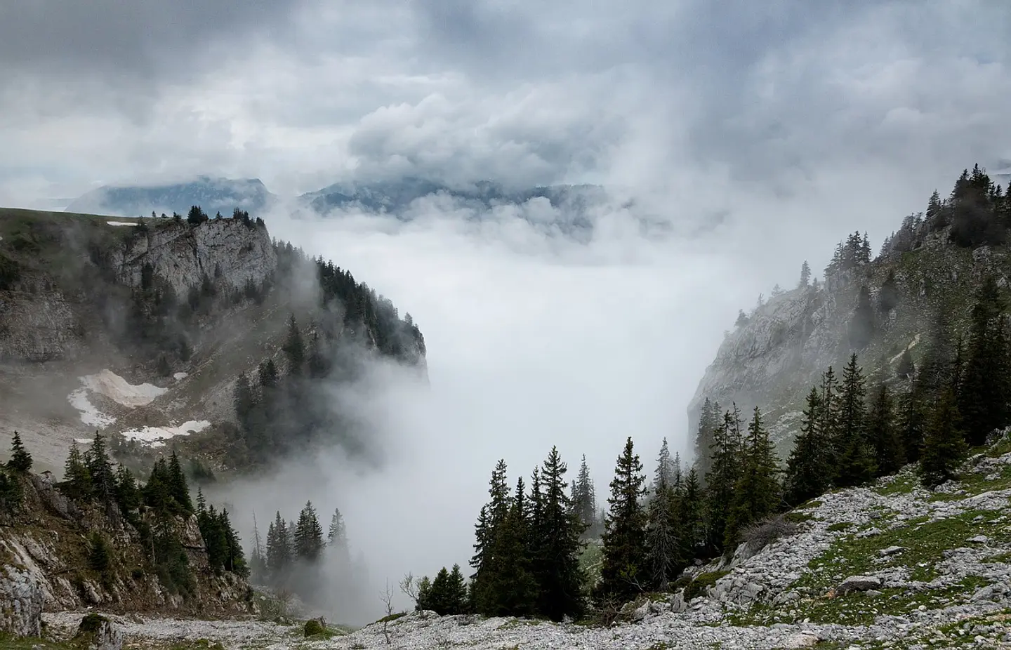 Explore New Horizons
