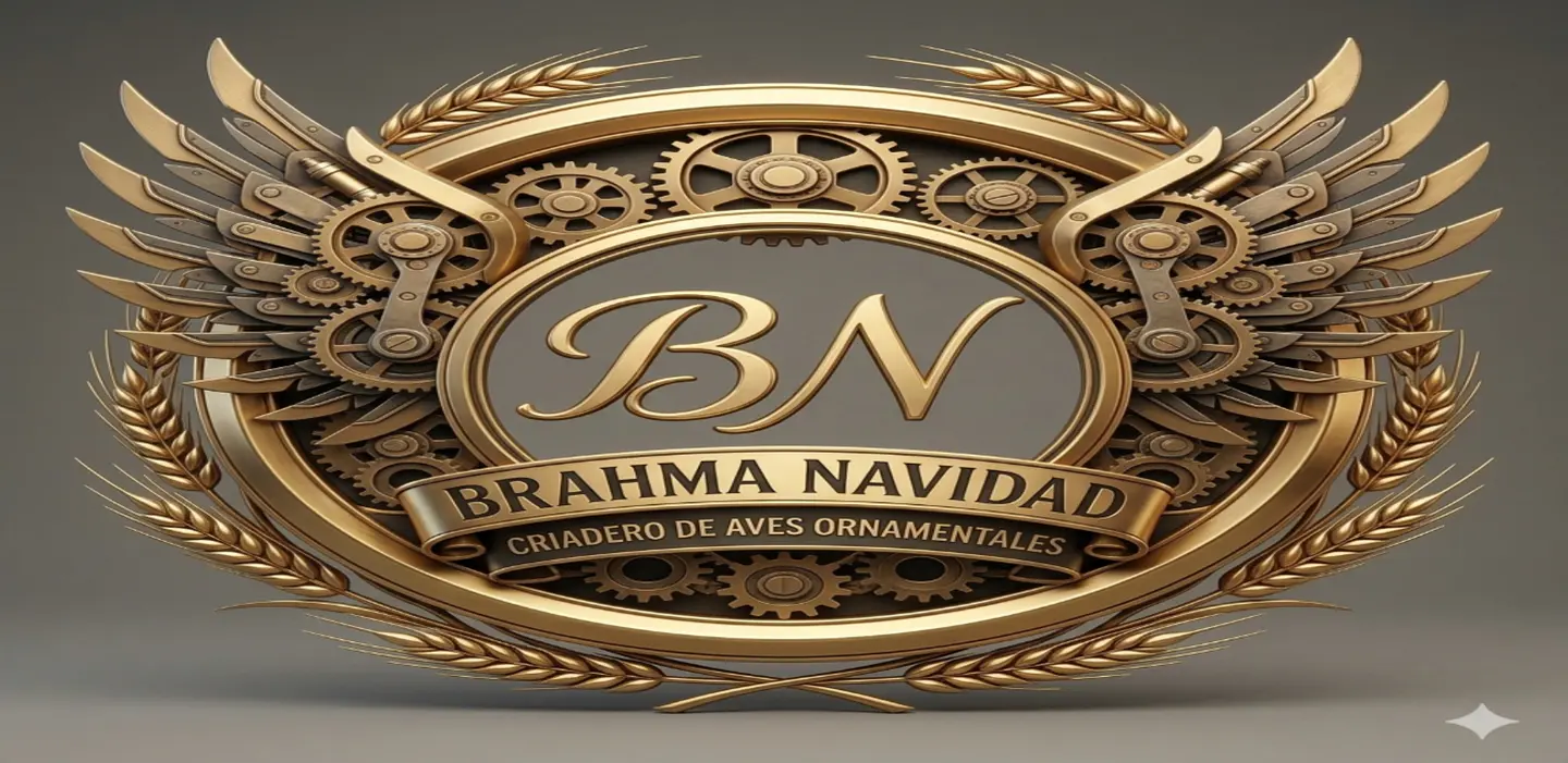  Explora Nuestras Gallina Brahma y Aves Ornamentales 